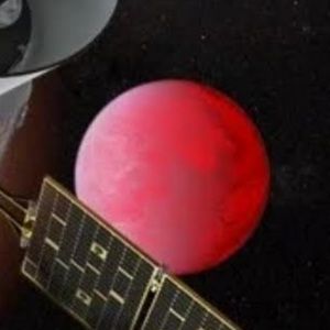 Meet your Posher, Avery